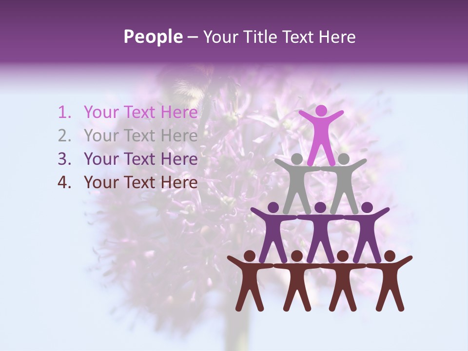 Collects Bee Animal PowerPoint Template