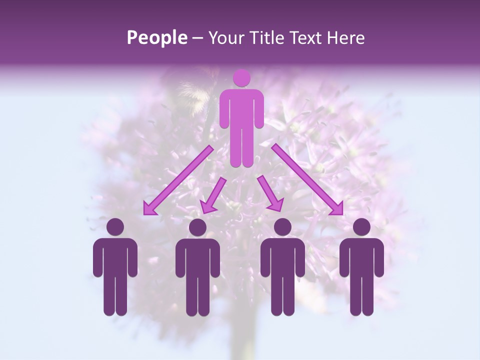 Collects Bee Animal PowerPoint Template