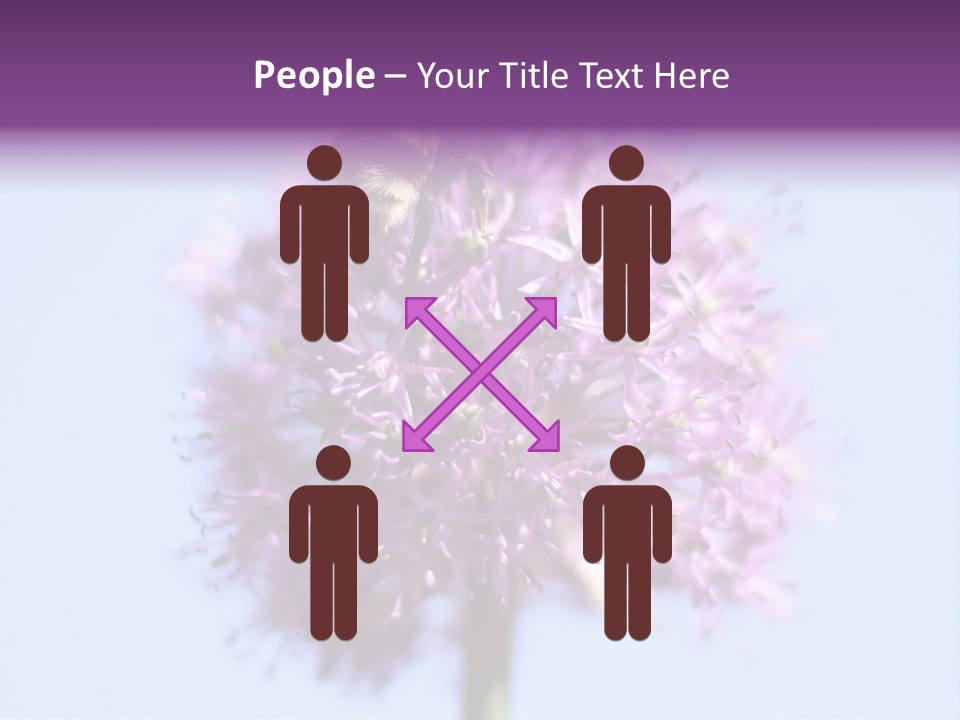 Collects Bee Animal PowerPoint Template