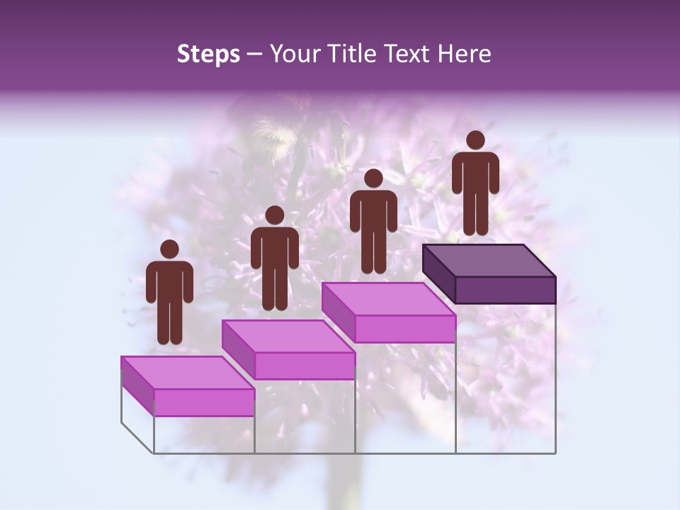 Collects Bee Animal PowerPoint Template