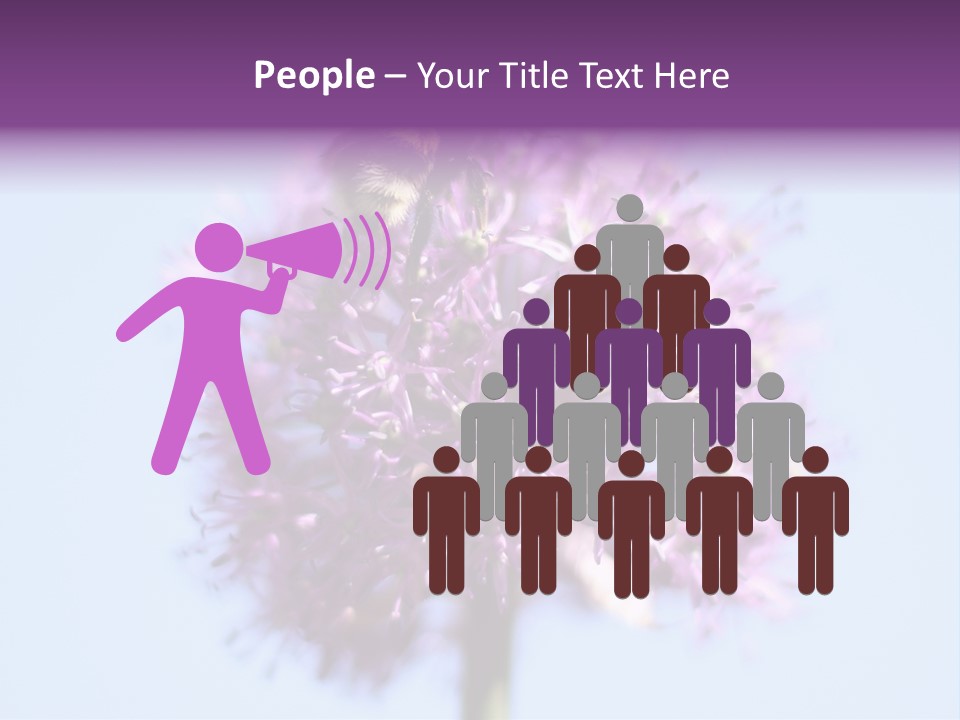 Collects Bee Animal PowerPoint Template