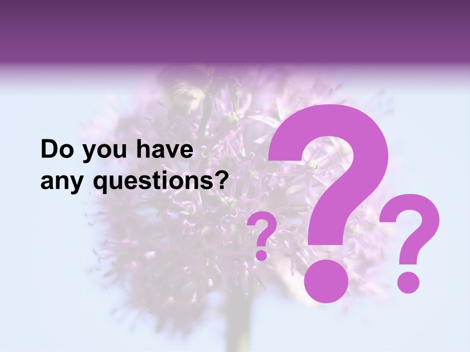 Collects Bee Animal PowerPoint Template