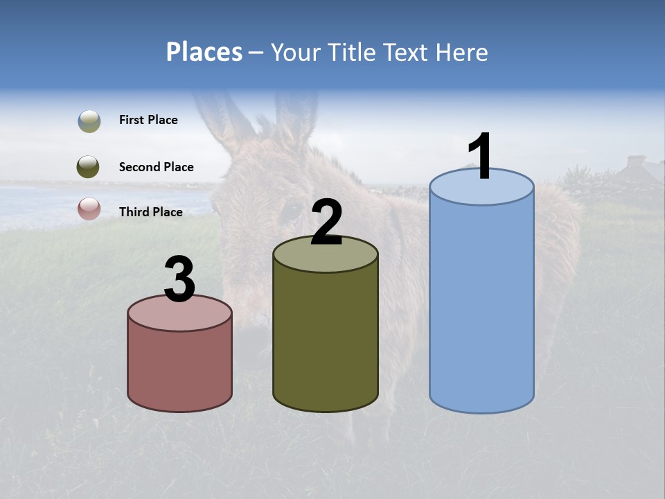 Clean Cut North American Boss PowerPoint Template