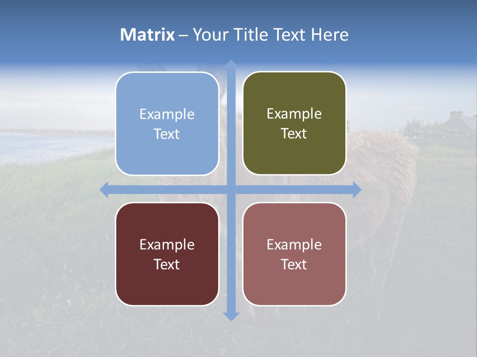 Clean Cut North American Boss PowerPoint Template