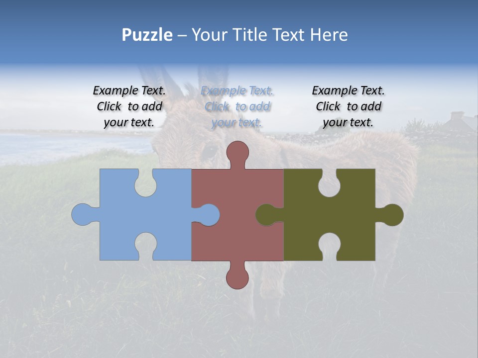 Clean Cut North American Boss PowerPoint Template