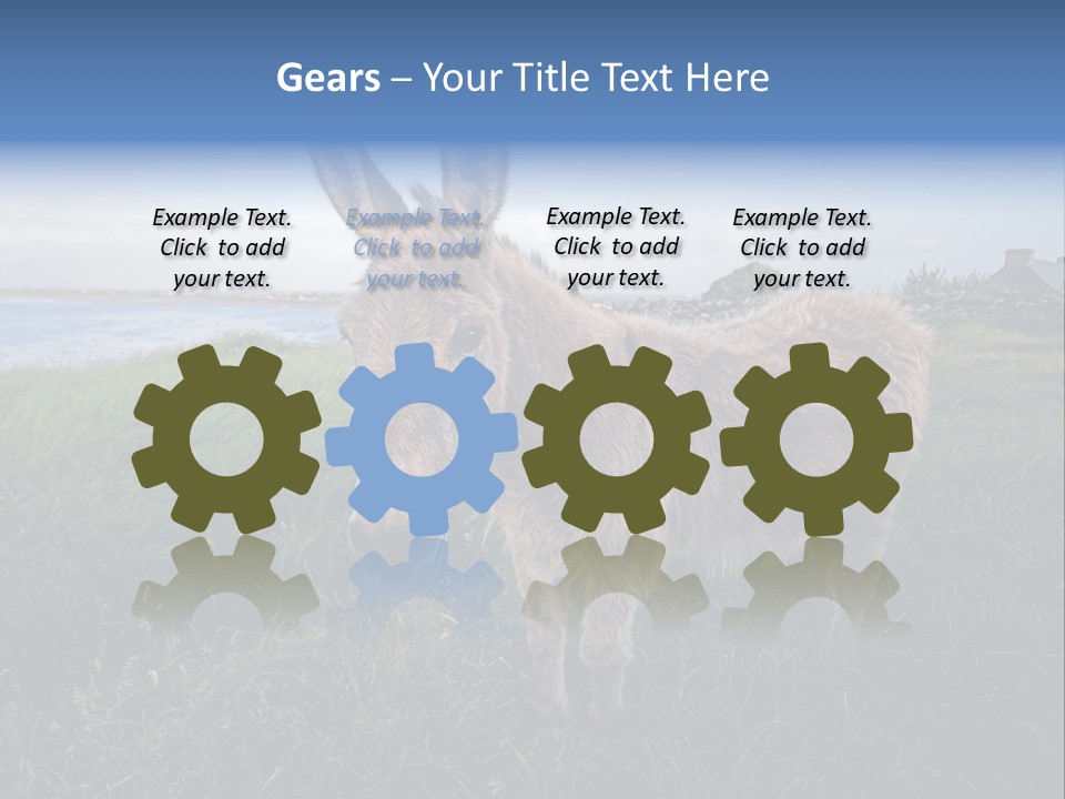 Clean Cut North American Boss PowerPoint Template