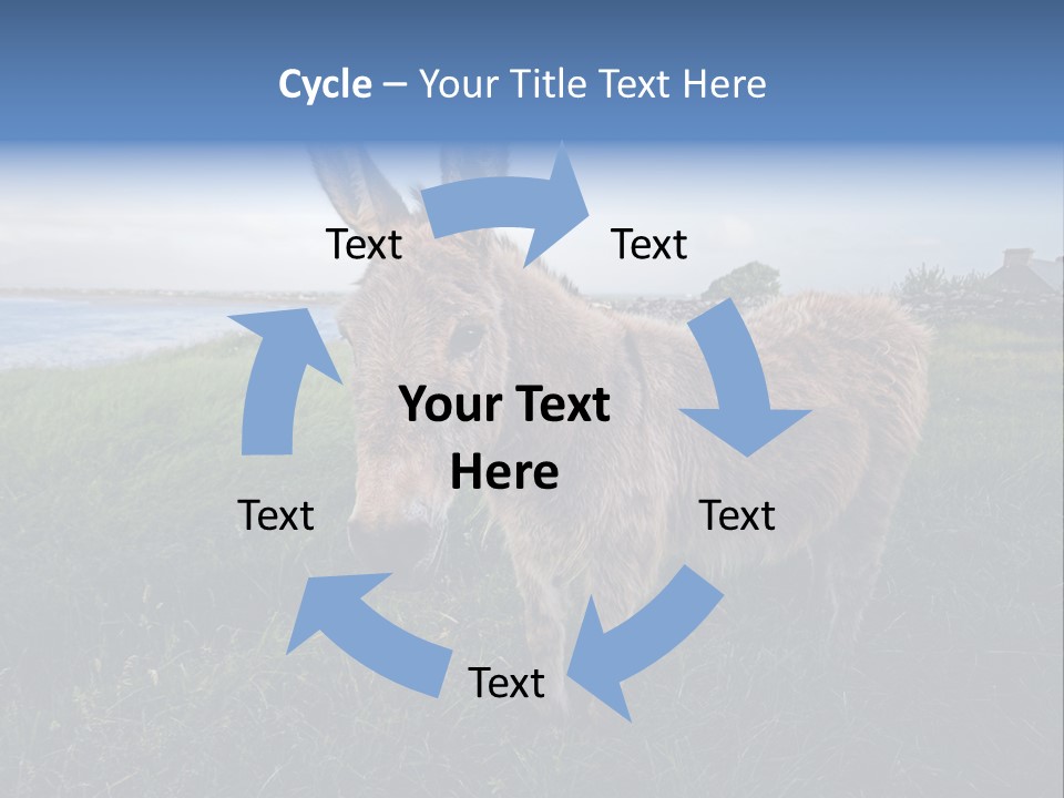 Clean Cut North American Boss PowerPoint Template