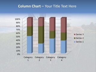 Clean Cut North American Boss PowerPoint Template