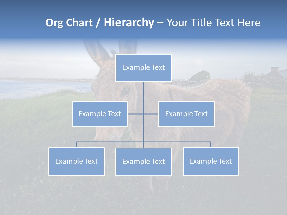 Clean Cut North American Boss PowerPoint Template