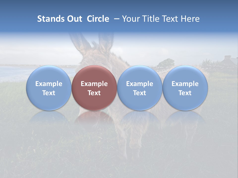 Clean Cut North American Boss PowerPoint Template