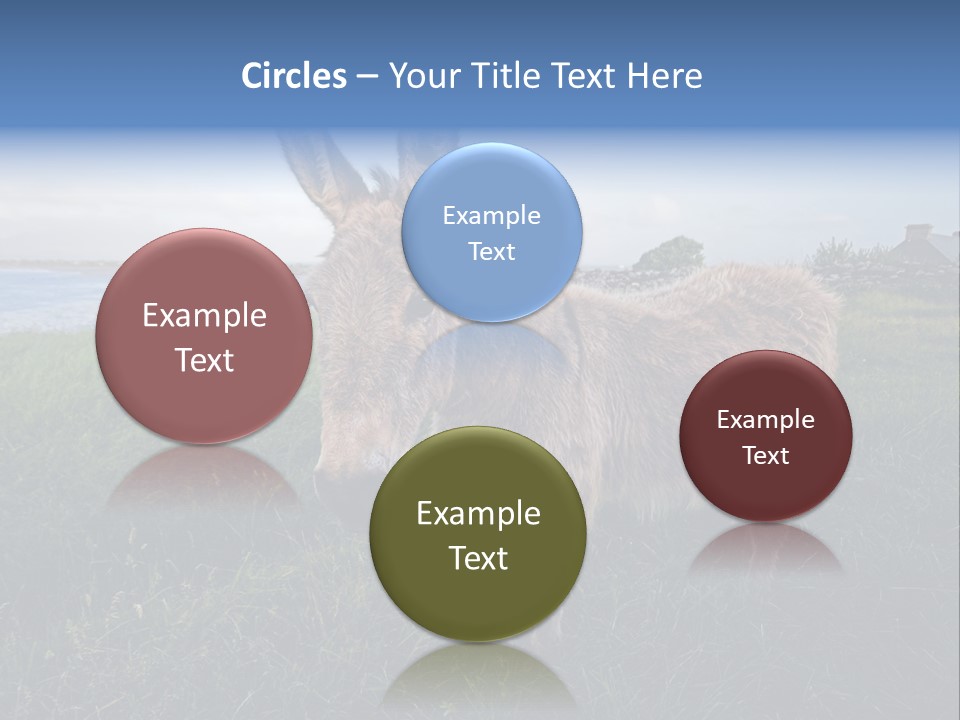 Clean Cut North American Boss PowerPoint Template