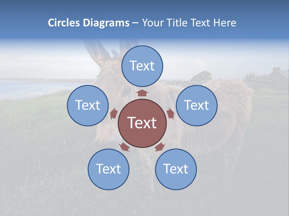 Clean Cut North American Boss PowerPoint Template