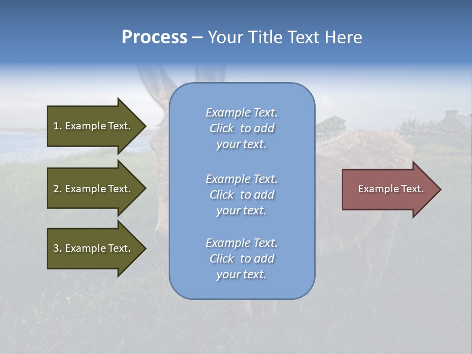 Clean Cut North American Boss PowerPoint Template