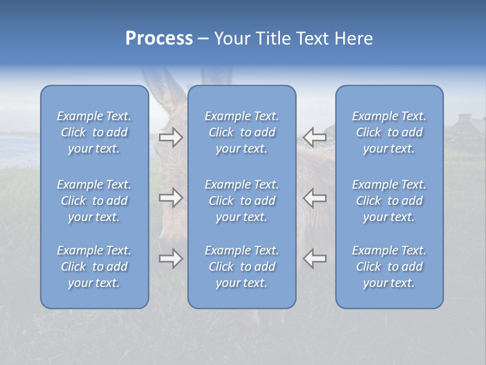 Clean Cut North American Boss PowerPoint Template