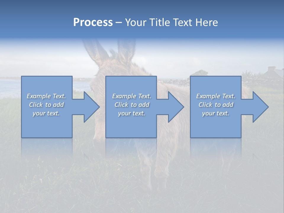 Clean Cut North American Boss PowerPoint Template