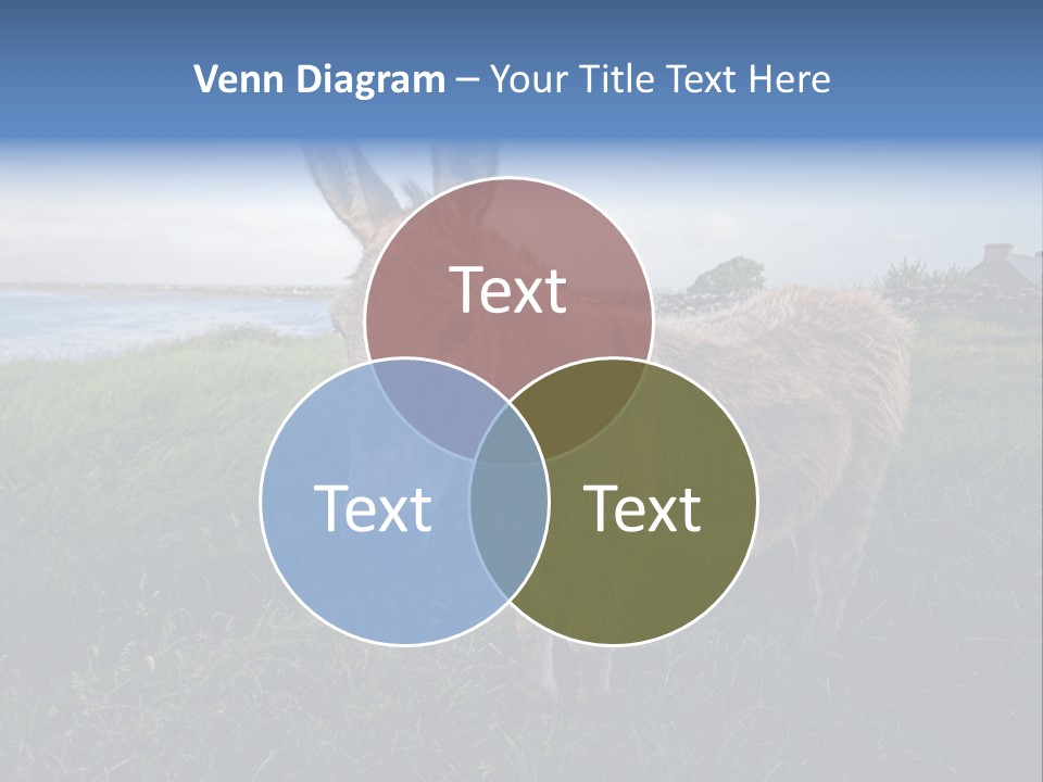 Clean Cut North American Boss PowerPoint Template