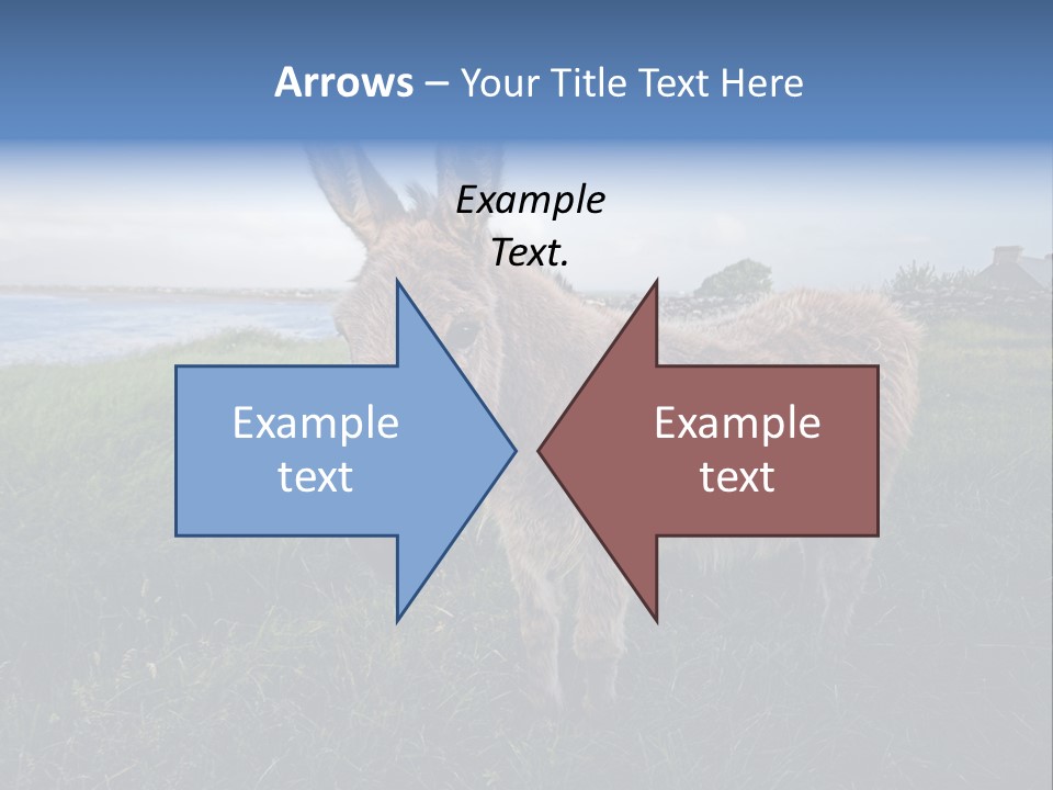 Clean Cut North American Boss PowerPoint Template