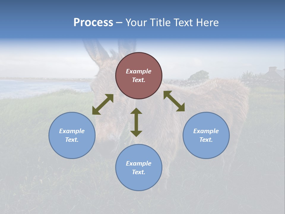 Clean Cut North American Boss PowerPoint Template