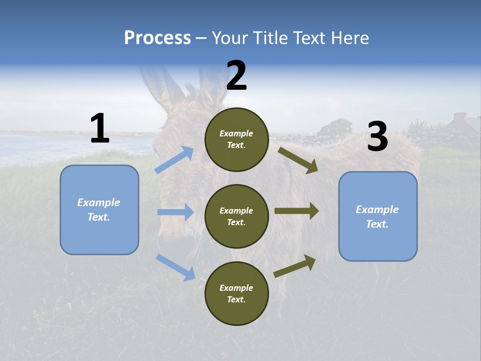 Clean Cut North American Boss PowerPoint Template