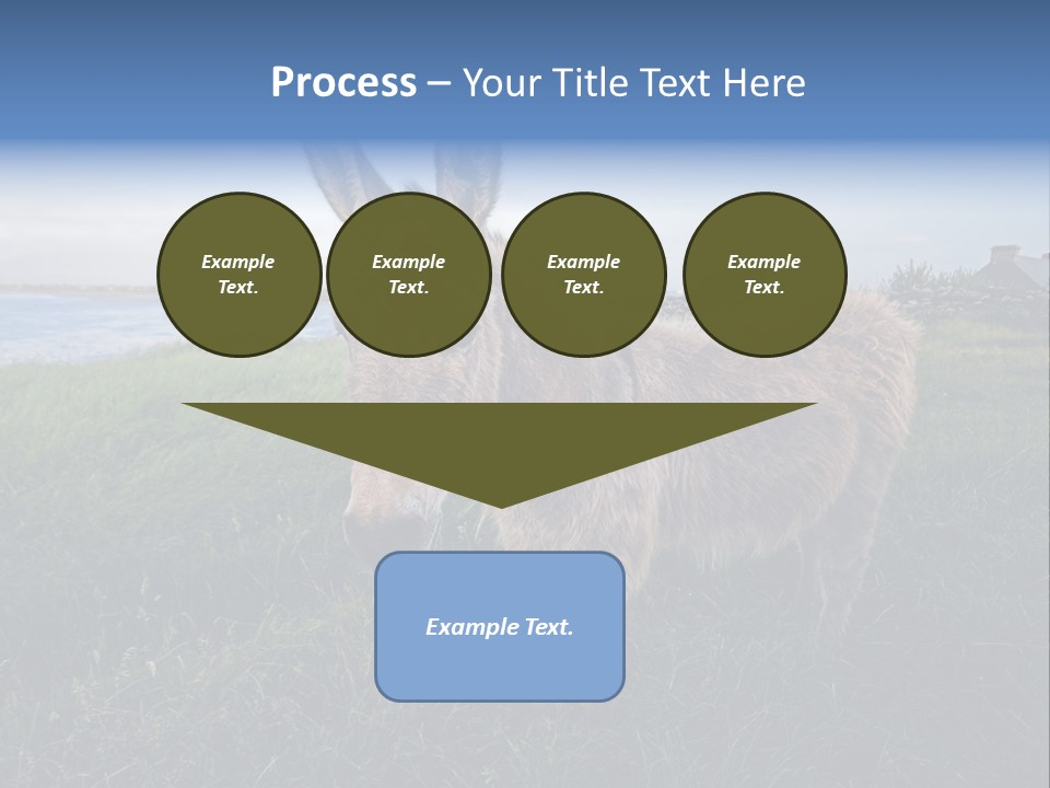 Clean Cut North American Boss PowerPoint Template