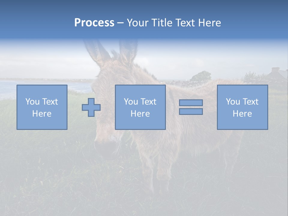 Clean Cut North American Boss PowerPoint Template
