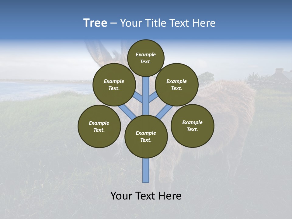 Clean Cut North American Boss PowerPoint Template