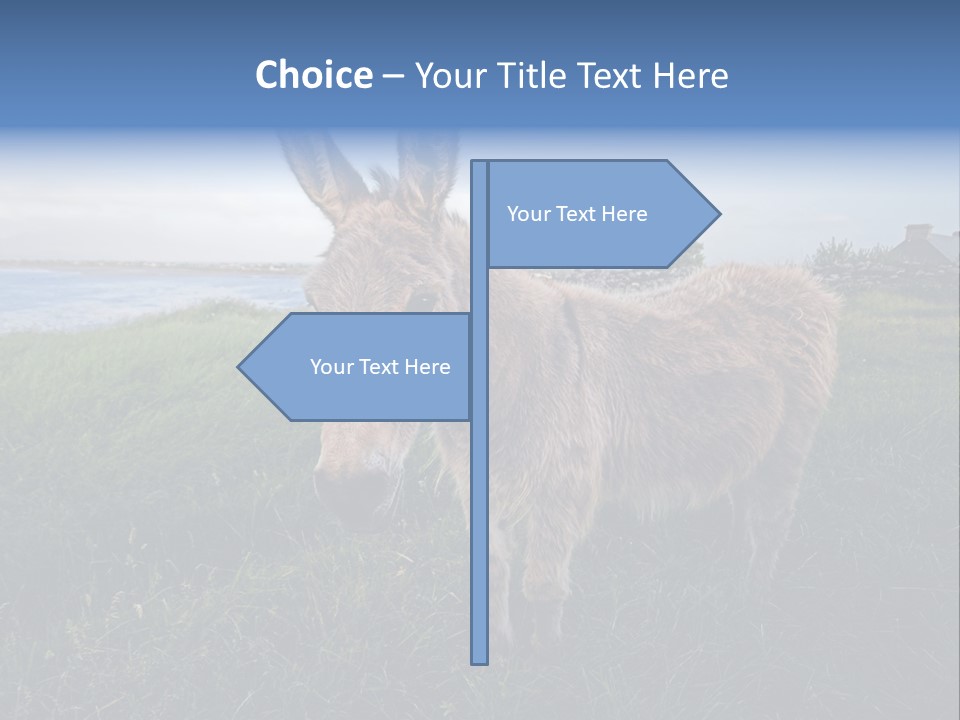 Clean Cut North American Boss PowerPoint Template