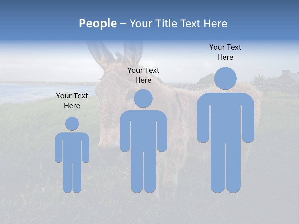 Clean Cut North American Boss PowerPoint Template