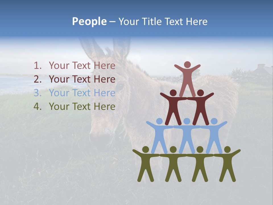 Clean Cut North American Boss PowerPoint Template