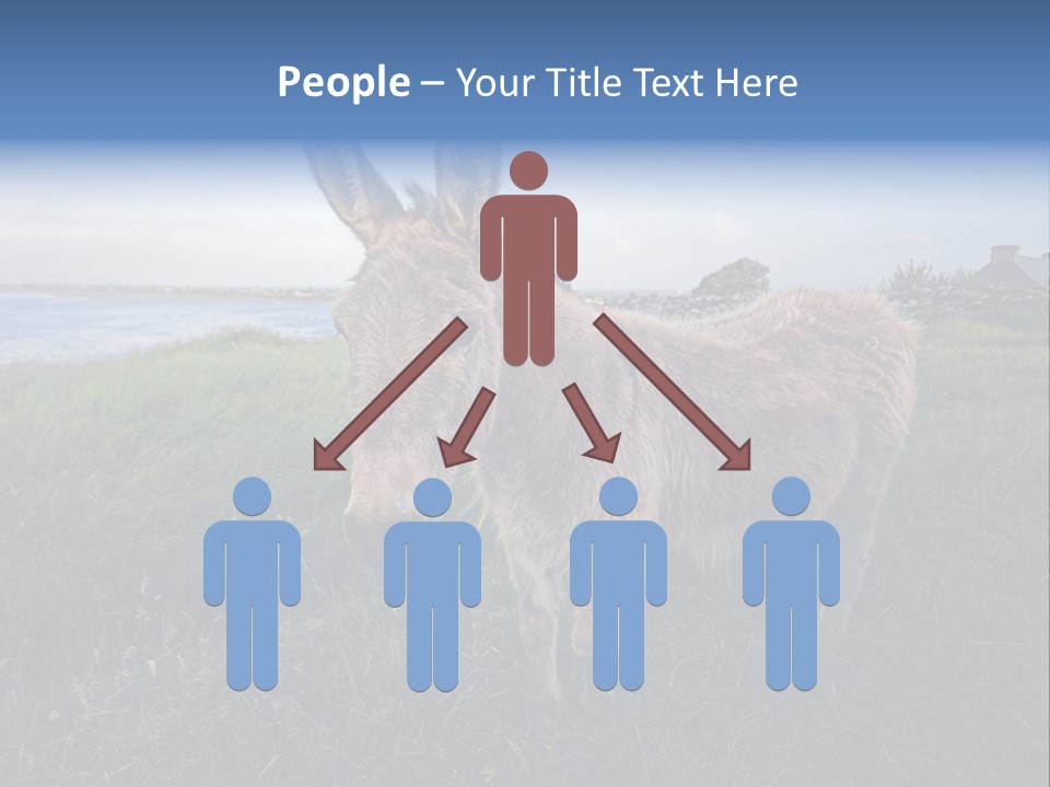 Clean Cut North American Boss PowerPoint Template