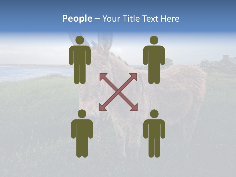 Clean Cut North American Boss PowerPoint Template