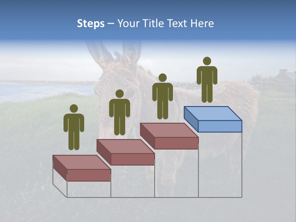 Clean Cut North American Boss PowerPoint Template