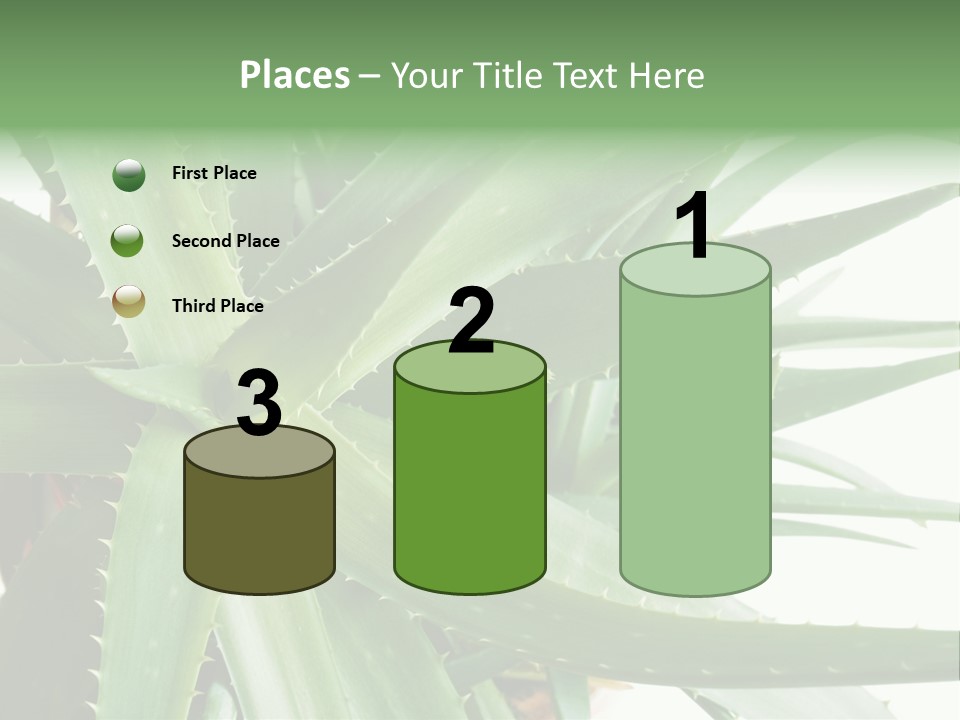 Amusing Farcical Executive PowerPoint Template