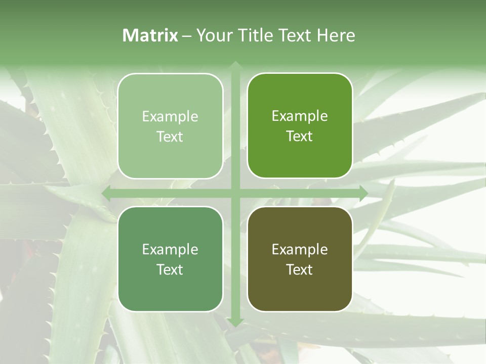 Amusing Farcical Executive PowerPoint Template