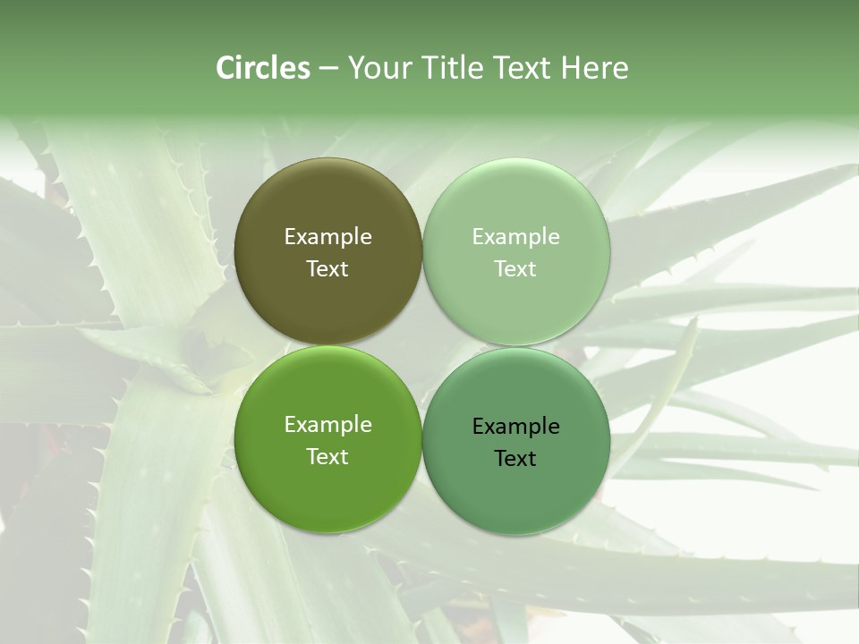 Amusing Farcical Executive PowerPoint Template