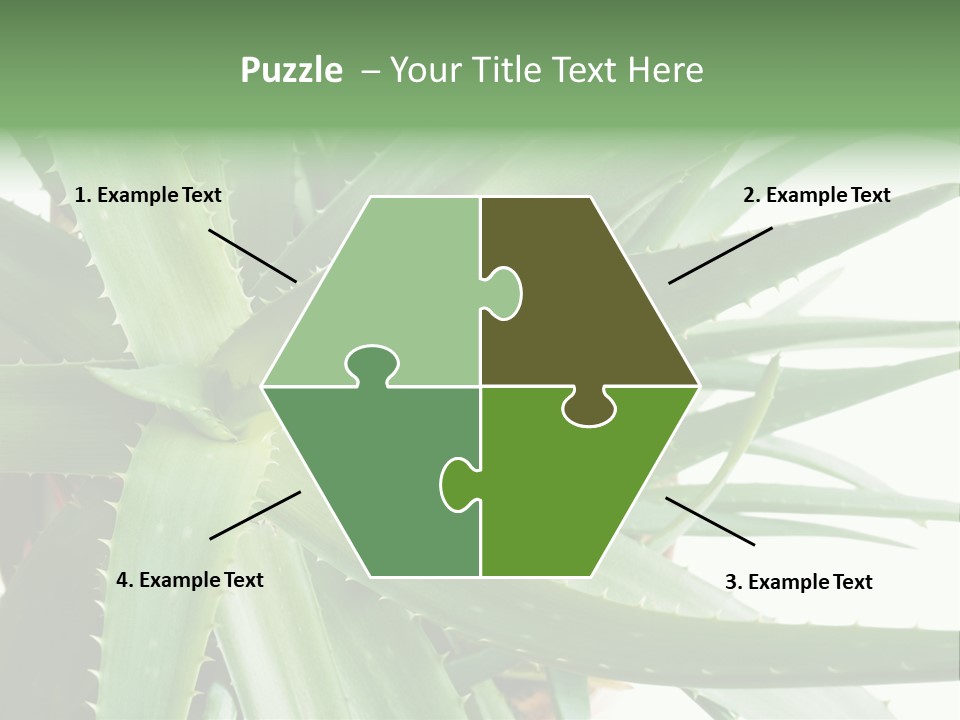 Amusing Farcical Executive PowerPoint Template