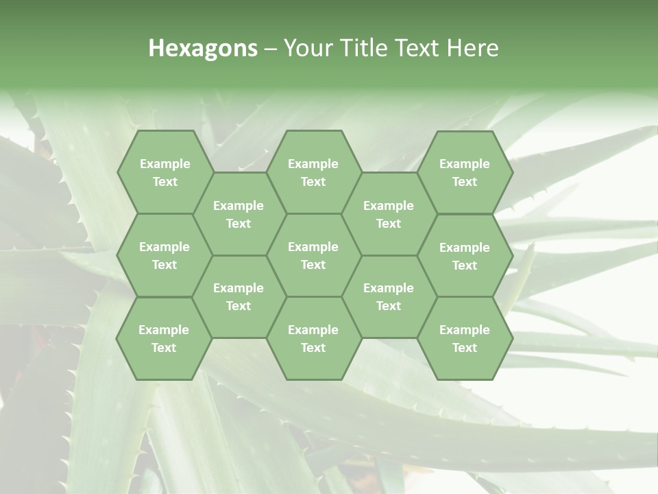 Amusing Farcical Executive PowerPoint Template