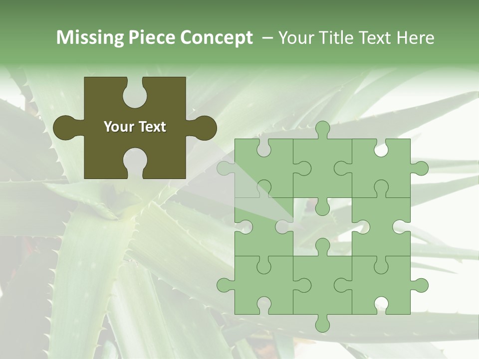 Amusing Farcical Executive PowerPoint Template