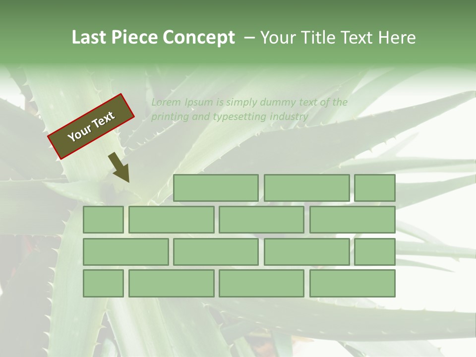 Amusing Farcical Executive PowerPoint Template