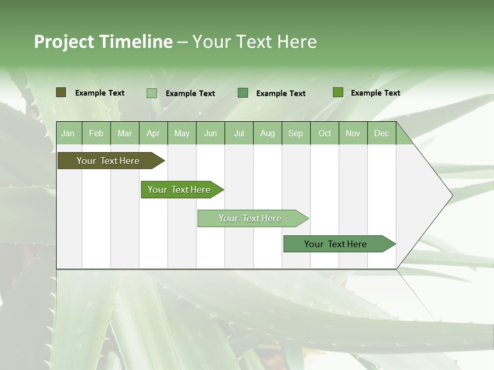 Amusing Farcical Executive PowerPoint Template