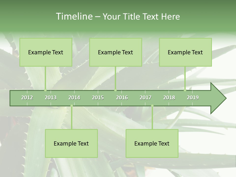 Amusing Farcical Executive PowerPoint Template