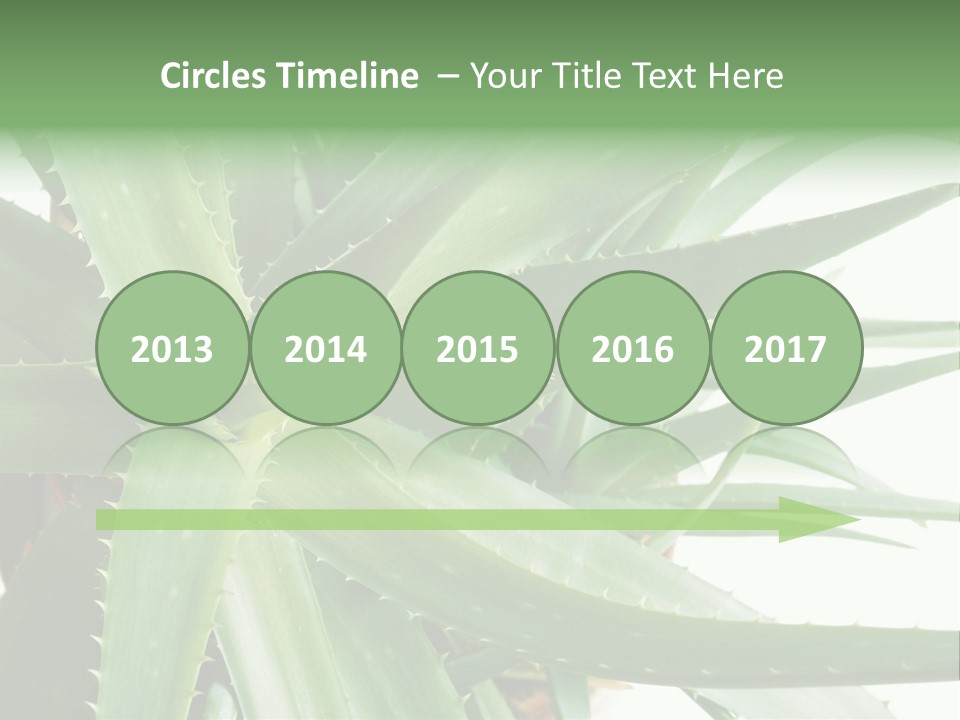 Amusing Farcical Executive PowerPoint Template