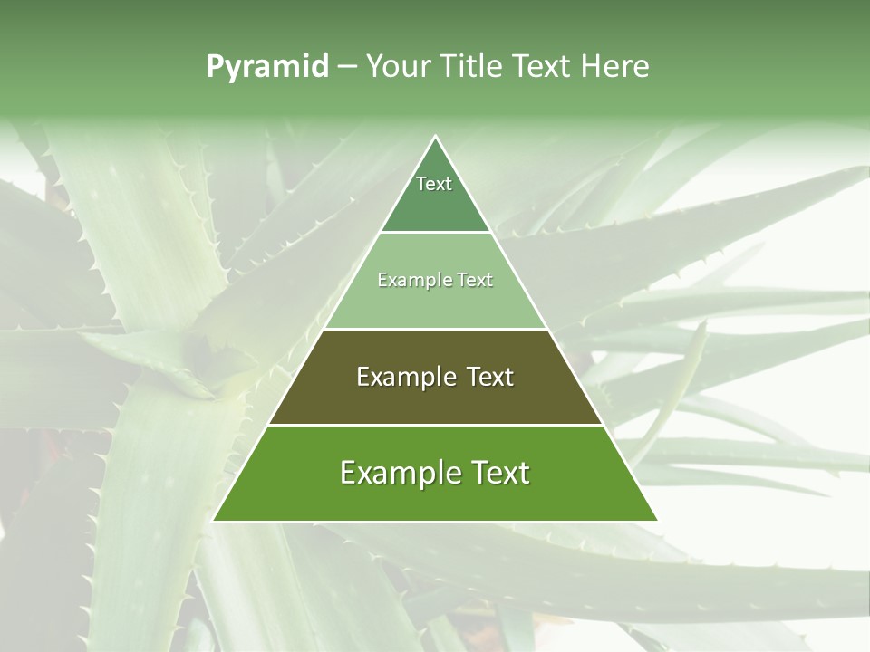 Amusing Farcical Executive PowerPoint Template