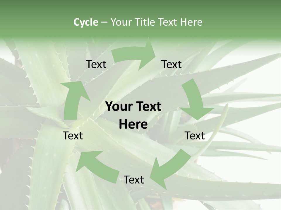 Amusing Farcical Executive PowerPoint Template