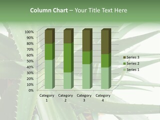 Amusing Farcical Executive PowerPoint Template