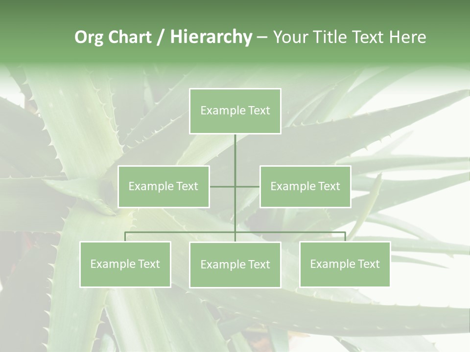 Amusing Farcical Executive PowerPoint Template