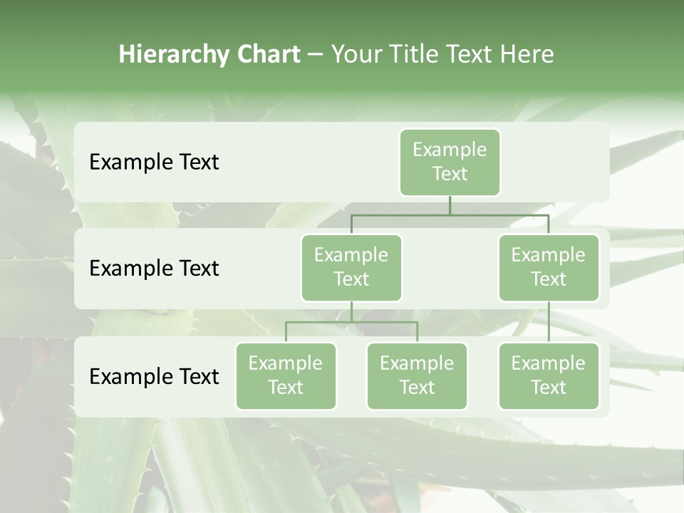 Amusing Farcical Executive PowerPoint Template