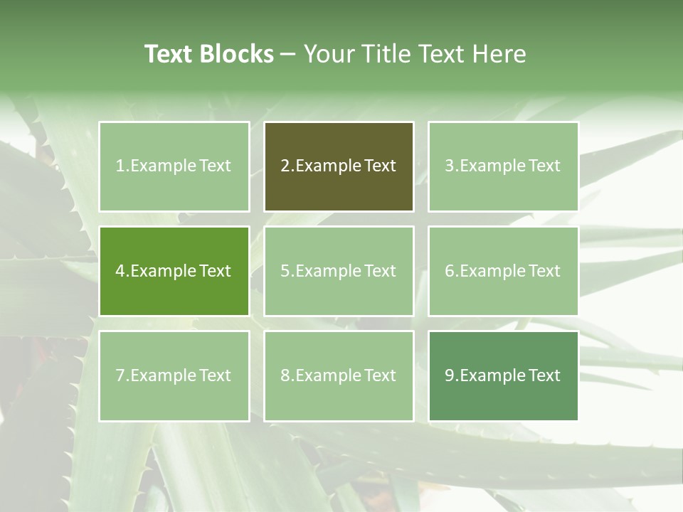 Amusing Farcical Executive PowerPoint Template