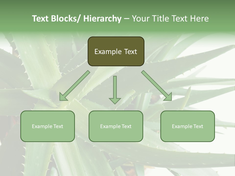 Amusing Farcical Executive PowerPoint Template