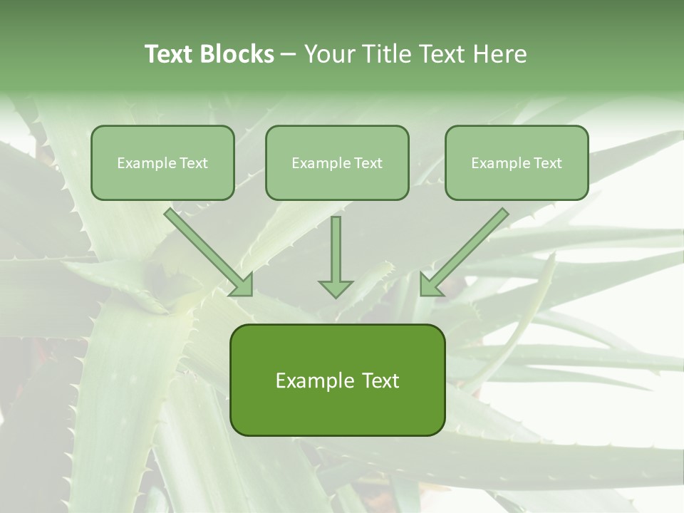Amusing Farcical Executive PowerPoint Template